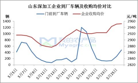 “玉米市場漲看山東，跌看廣東”這句老話如今還適用嗎？